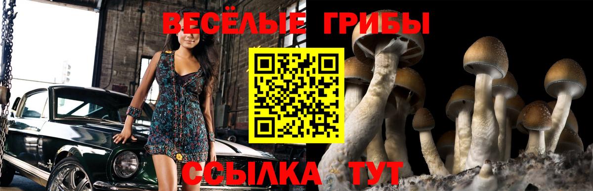 Серов  Галлюциногенные грибы мухоморы  Вход с VPN 